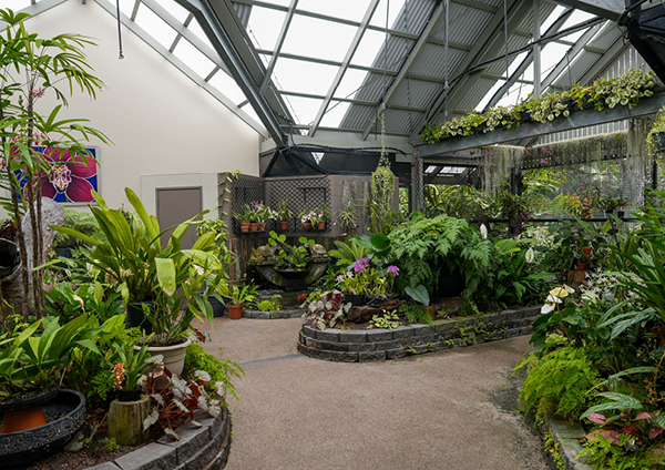 Orchid House