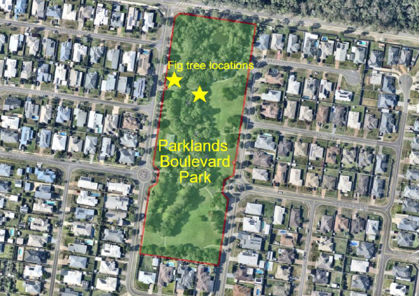 Parklands Boulevard Park Wondunna
