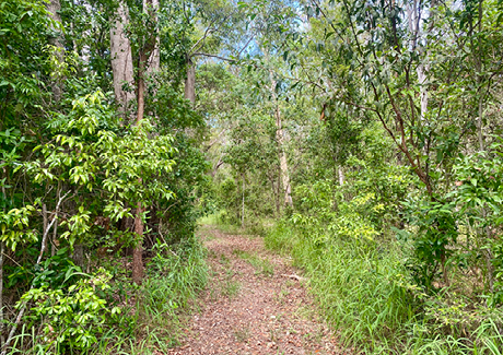 Pir’ri Conservation Reserve