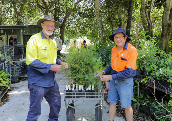 Plant donations