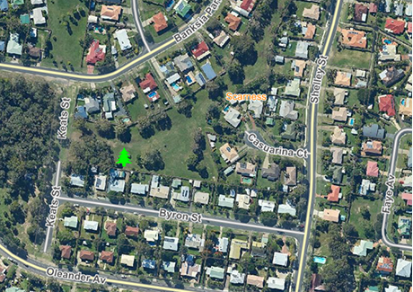Rainbow Gully planting site