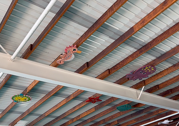 Maryborough Pool