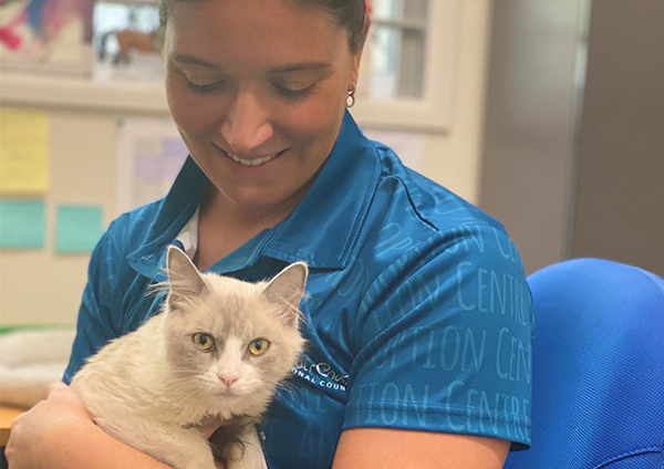 Adoption Cat