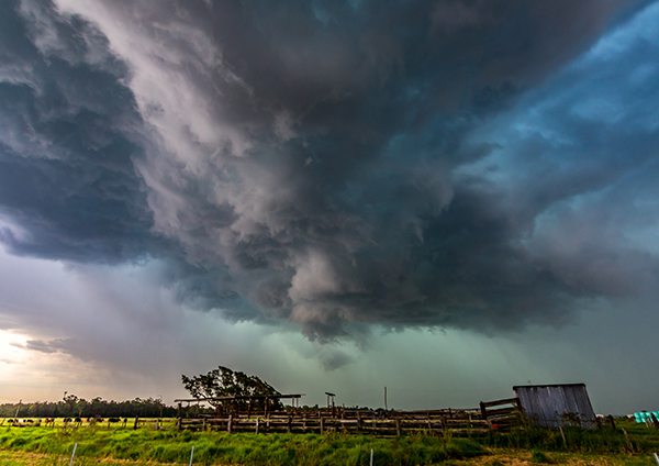 Storm