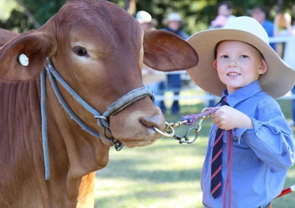 Tiaro Field Day