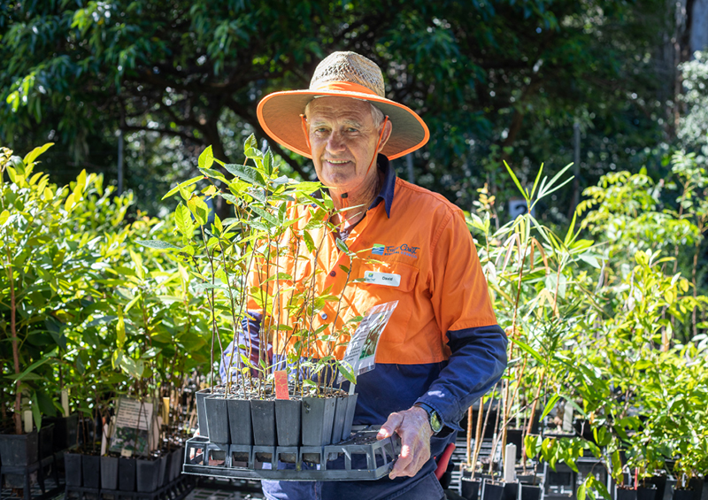 Tree planting media release 600x424