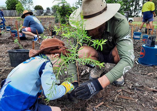 Tree Planting