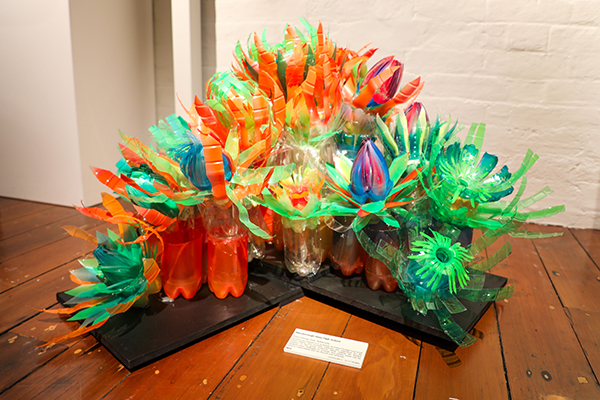 12 - 17 Years Category - 1st Prize - Maryborough State High School, Flourishing over adversity