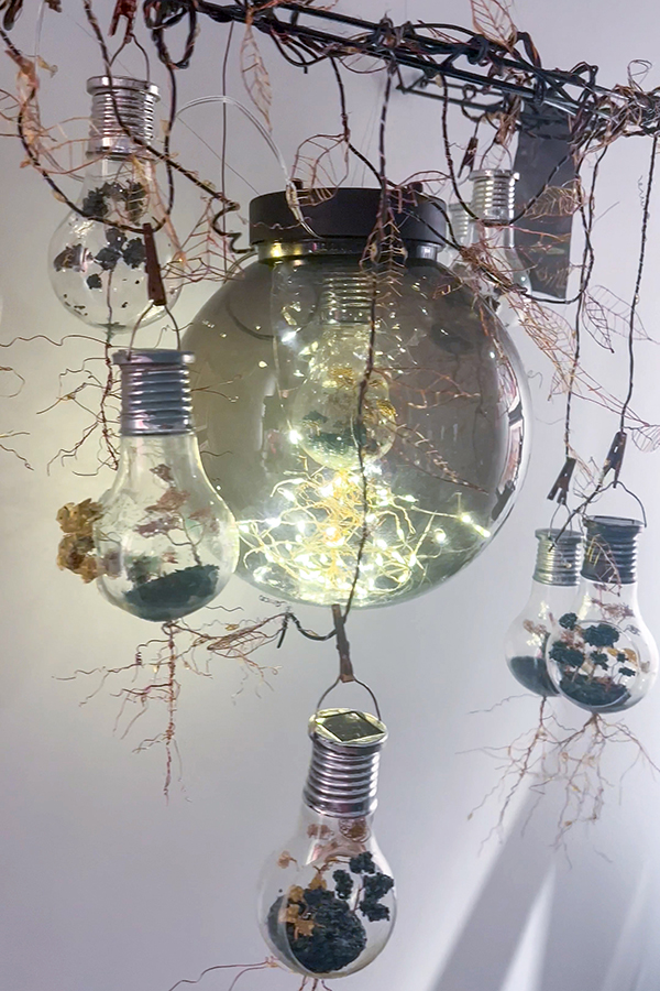 18 years+ People's Choice winner - Elsa Barich with 'Obsolescence'