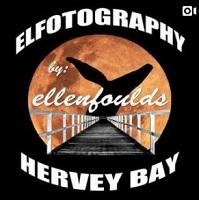 elfotography logo